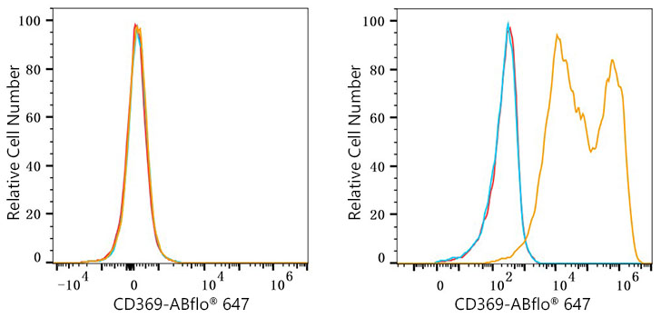 ABflo® 647 Rabbit anti-Human CD369/Dectin-1 mAb