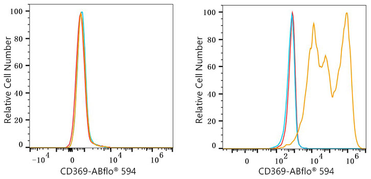 ABflo® 594 Rabbit anti-Human CD369/Dectin-1 mAb