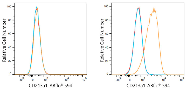 ABflo® 594 Rabbit anti-Human CD213a1/IL-13Rα1 mAb