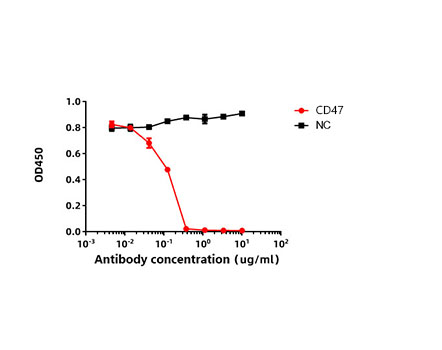 CD47 Rabbit mAb