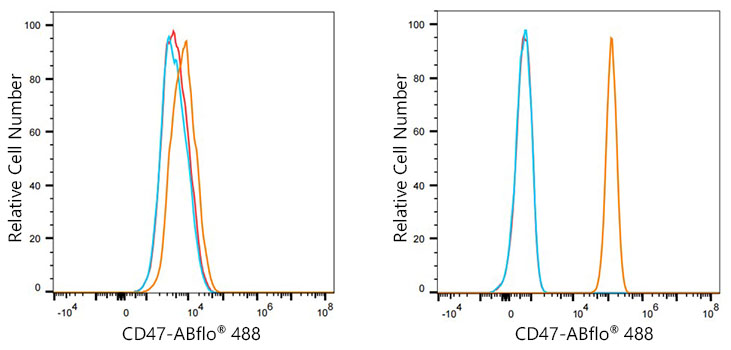 ABflo® 488 Rabbit anti-Human CD47 mAb