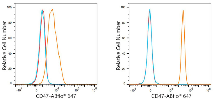 ABflo® 647 Rabbit anti-Human CD47 mAb