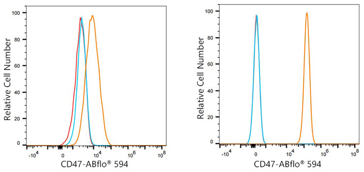 ABflo® 594 Rabbit anti-Human CD47 mAb