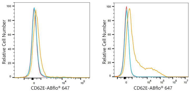 ABflo® 647 Rabbit anti-Human CD62E/E-Selectin mAb