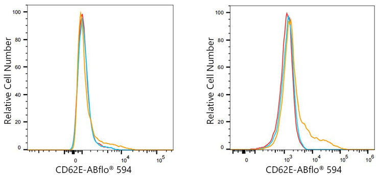 ABflo® 594 Rabbit anti-Human CD62E/E-Selectin mAb