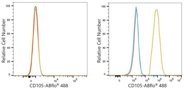 ABflo® 488 Rabbit anti-Human CD105/Endoglin mAb