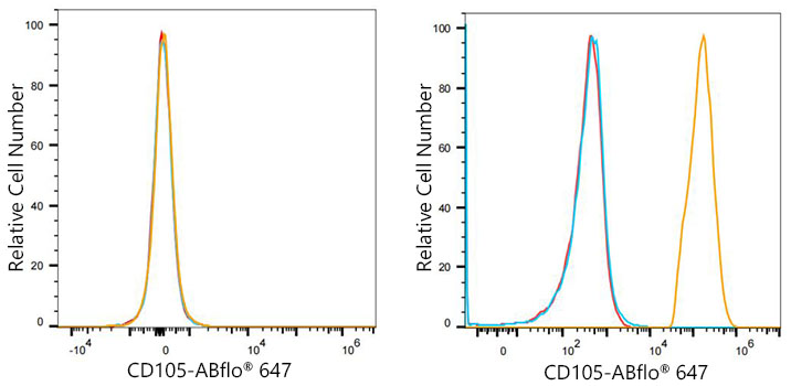 ABflo® 647 Rabbit anti-Human CD105/Endoglin mAb