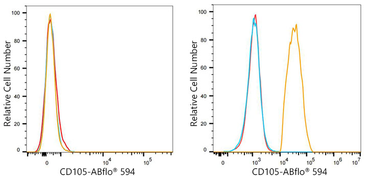 ABflo® 594 Rabbit anti-Human CD105/Endoglin mAb