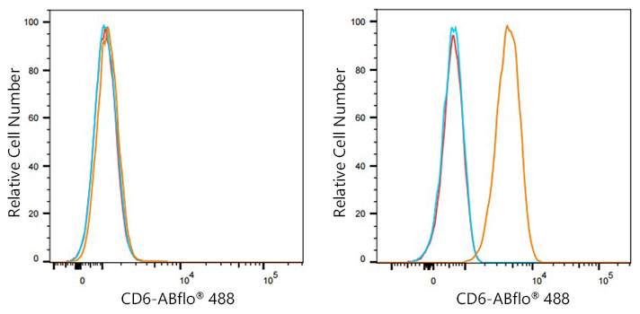 ABflo® 488 Rabbit anti-Human CD6 mAb