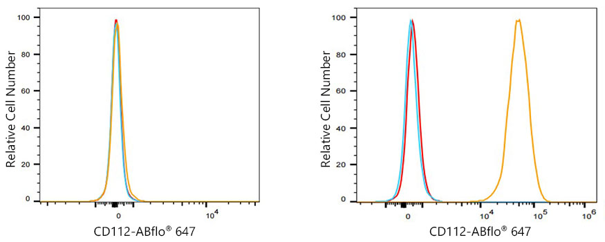 ABflo® 647 Rabbit anti-Human CD112/Nectin-2 mAb