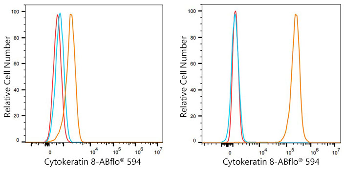 ABflo® 594 Rabbit anti-Human Cytokeratin 8 mAb