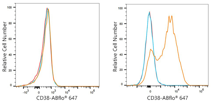 ABflo® 647 Rabbit anti-Human CD38 mAb