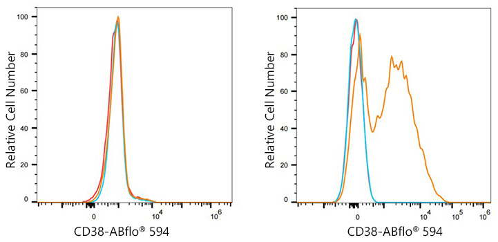 ABflo® 594 Rabbit anti-Human CD38 mAb