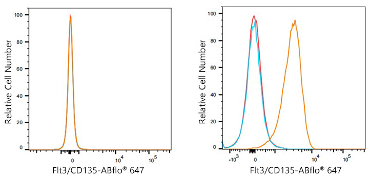 ABflo® 647 Rabbit anti-Human Flt3/CD135  mAb