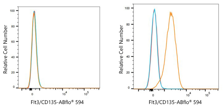 ABflo® 594 Rabbit anti-Human Flt3/CD135  mAb