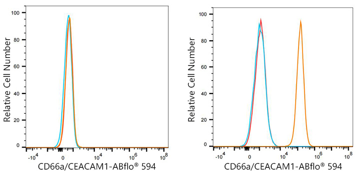 ABflo® 594 Rabbit anti-Human CD66a/CEACAM1 mAb