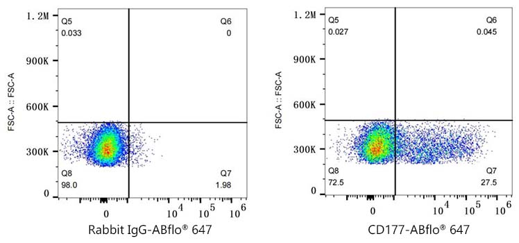 ABflo® 647 Rabbit anti-Human CD177 mAb