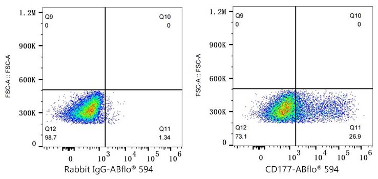 ABflo® 594 Rabbit anti-Human CD177 mAb