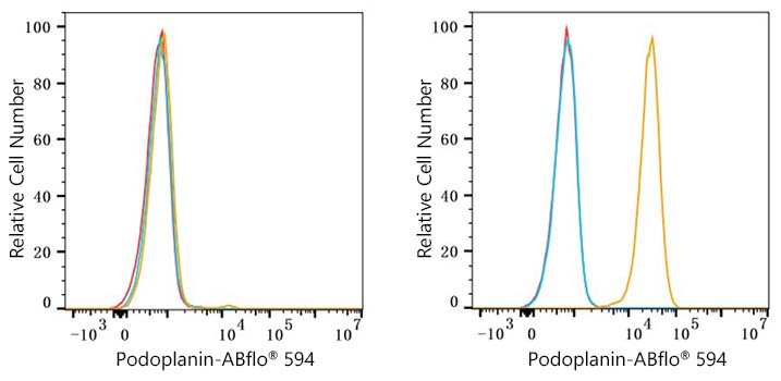 ABflo® 594 Rabbit anti-Human Podoplanin mAb