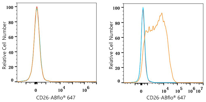 ABflo® 647 Rabbit anti-Human CD26/DPP4 mAb