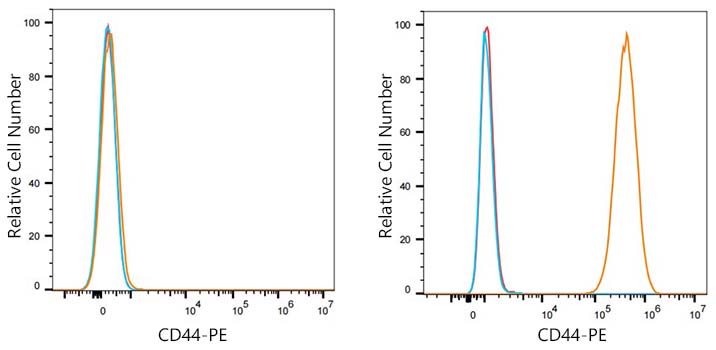 PE Rabbit anti-Human CD44 mAb