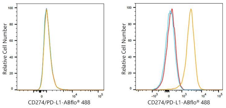 ABflo® 488 Rabbit anti-Mouse CD274/PD-L1 mAb