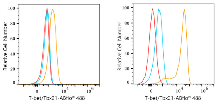 ABflo® 488 Rabbit anti-Human T-bet/Tbx21 mAb