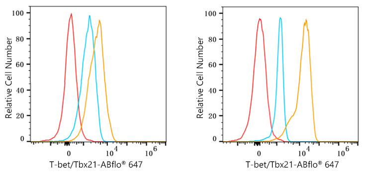 ABflo® 647 Rabbit anti-Human T-bet/Tbx21 mAb