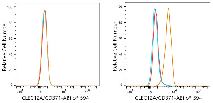 ABflo® 594 Rabbit anti-Human CLEC12A/CD371 mAb