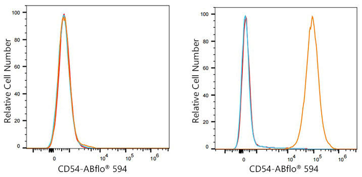 ABflo® 594 Rabbit anti-Human ICAM-1/CD54 mAb