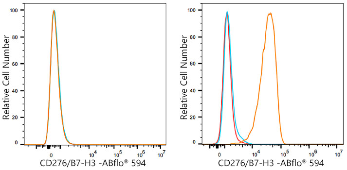 ABflo® 594 Rabbit anti-Human/Mouse CD276/B7-H3 mAb