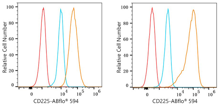 ABflo® 594 Rabbit anti-Human CD225/IFITM1 mAb