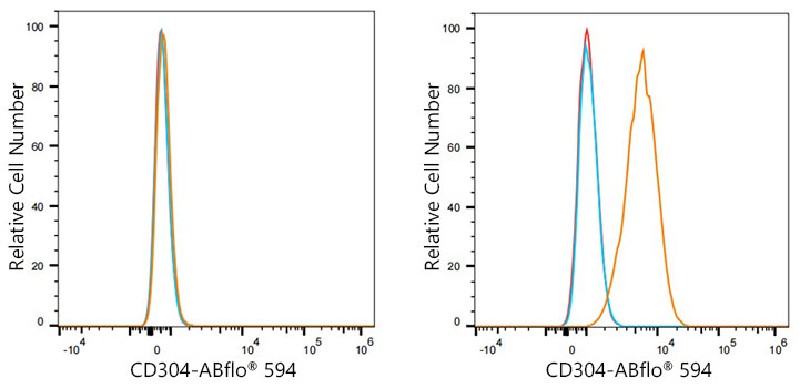 ABflo® 594 Rabbit anti-Human CD304/Neuropilin-1 mAb