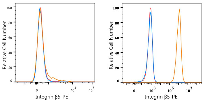 PE Rabbit anti-Human Integrin β5/ITGB5 mAb