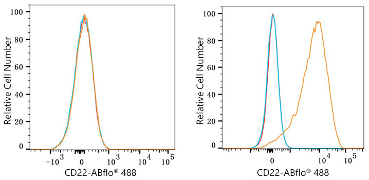 ABflo® 488 Rabbit anti-Human CD22 mAb