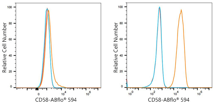 ABflo® 594 Rabbit anti-Human CD58 mAb