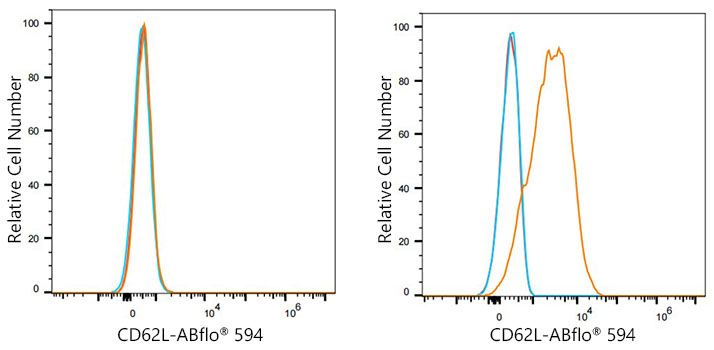 ABflo® 594 Rabbit anti-Human CD62L/L-Selectin mAb