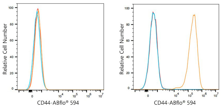 ABflo® 594 Rabbit anti-Mouse CD44 mAb