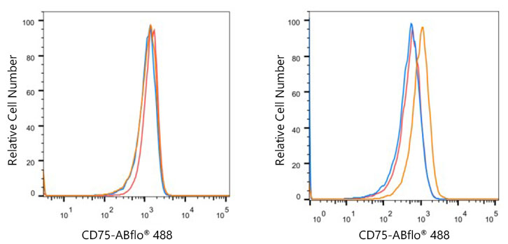 ABflo® 488 Rabbit anti-Human CD75 mAb