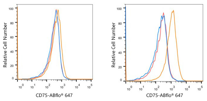 ABflo® 647 Rabbit anti-Human CD75 mAb