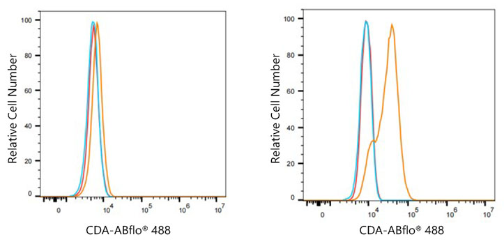 ABflo® 488 Rabbit anti-Human CDA mAb