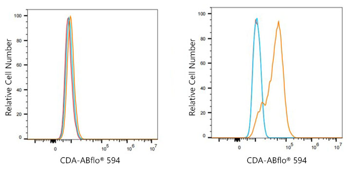 ABflo® 594 Rabbit anti-Human CDA mAb