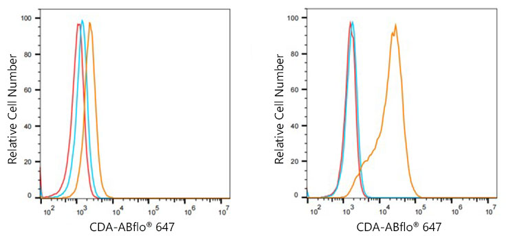 ABflo® 647 Rabbit anti-Human CDA mAb