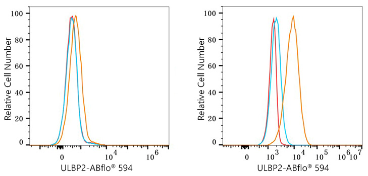 ABflo® 594 Rabbit anti-Human ULBP2 mAb