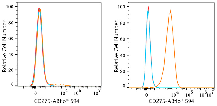 ABflo® 594 Rabbit anti-Human B7-H2/CD275 mAb