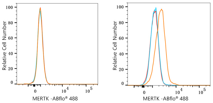 ABflo® 488 Rabbit anti-Human MERTK mAb