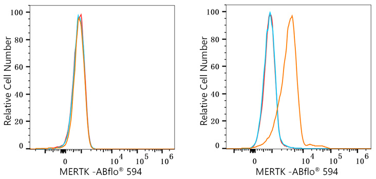 ABflo® 594 Rabbit anti-Human MERTK mAb