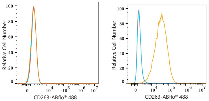 ABflo® 488 Rabbit anti-Human CD263/TRAIL-R3 mAb