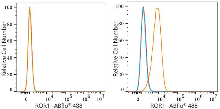 ABflo® 488 Rabbit anti-Human ROR1 mAb