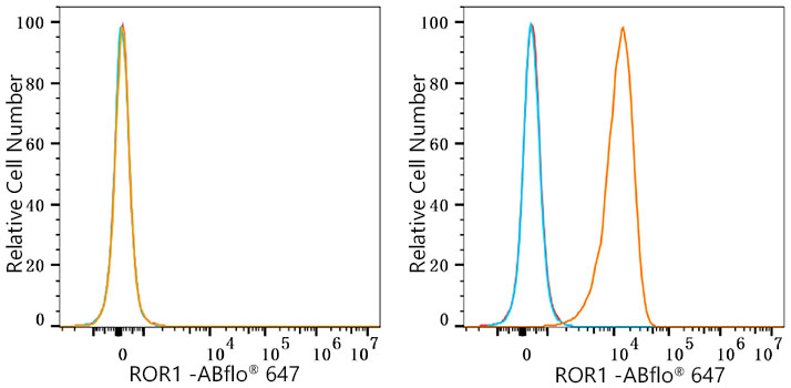 ABflo® 647 Rabbit anti-Human ROR1 mAb